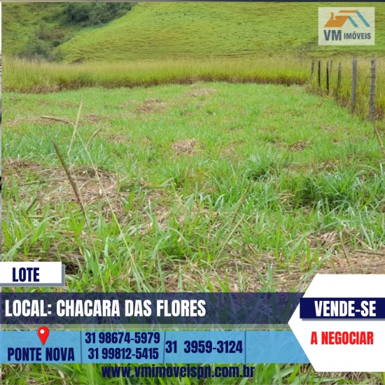 LOTE CHA CARA DAS FLORES