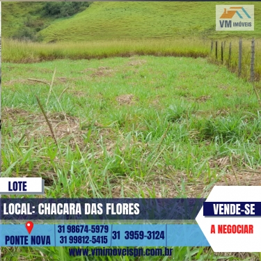 LOTE CHA CARA DAS FLORES